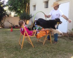 יומולדת-עם-כלבים יומולדת-עם-כלבים